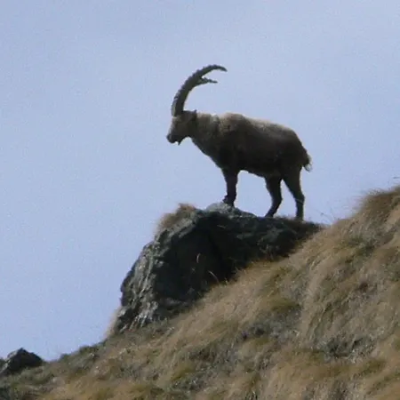 Chez Vero Et Bernard *