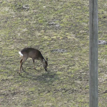 Chez Vero Et Bernard Апартаменты *