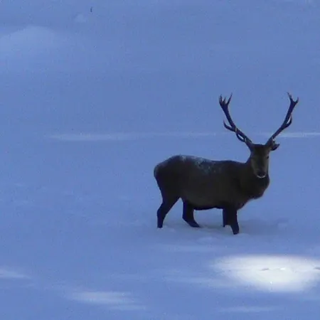 Апартаменты Chez Vero Et Bernard Бург-Сен-Пьер
